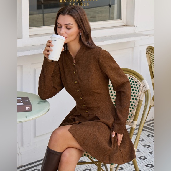 Brown Ruched Button A-Line Mini Dress - Picture 3 of 6